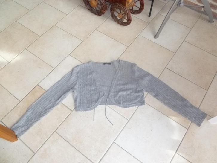 grijs vest/bolero maat 44, Kleding | Dames, Truien en Vesten, Zo goed als nieuw, Maat 42/44 (L), Grijs, Ophalen of Verzenden