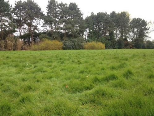 Grond te koop in Roeselare, Immo, Gronden en Bouwgronden, tot 200 m²