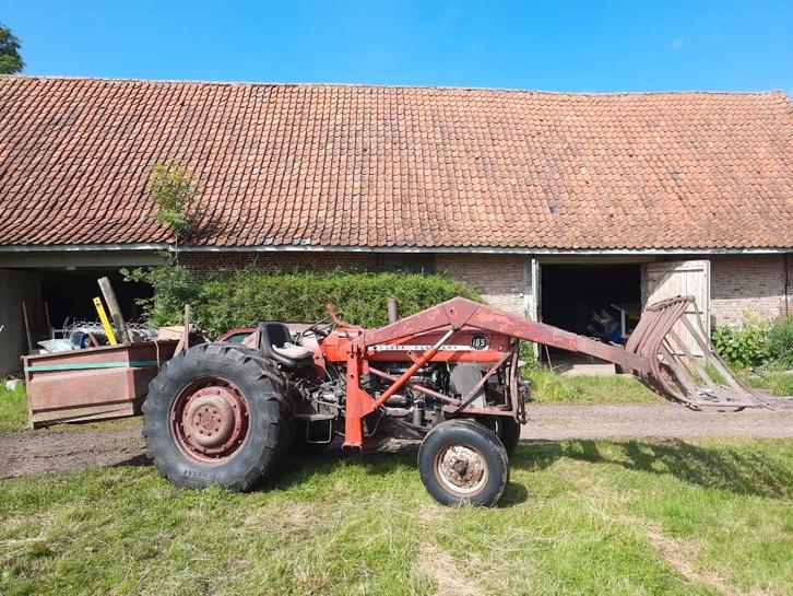 Massey Ferguson 165 met frontlader, Articles professionnels, Agriculture | Tracteurs, Massey Ferguson, Oldtimer/Ancêtre, Enlèvement