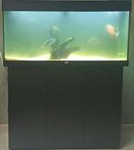 Rio 180 met kast en buiten filter, Dieren en Toebehoren, Ophalen of Verzenden, Zo goed als nieuw