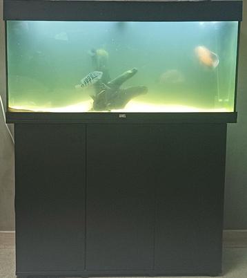 Rio 180 met kast en buiten filter  beschikbaar voor biedingen