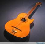 akoestische fretless bas, Muziek en Instrumenten, Snaarinstrumenten | Gitaren | Bas, Ophalen, Gebruikt, Akoestisch