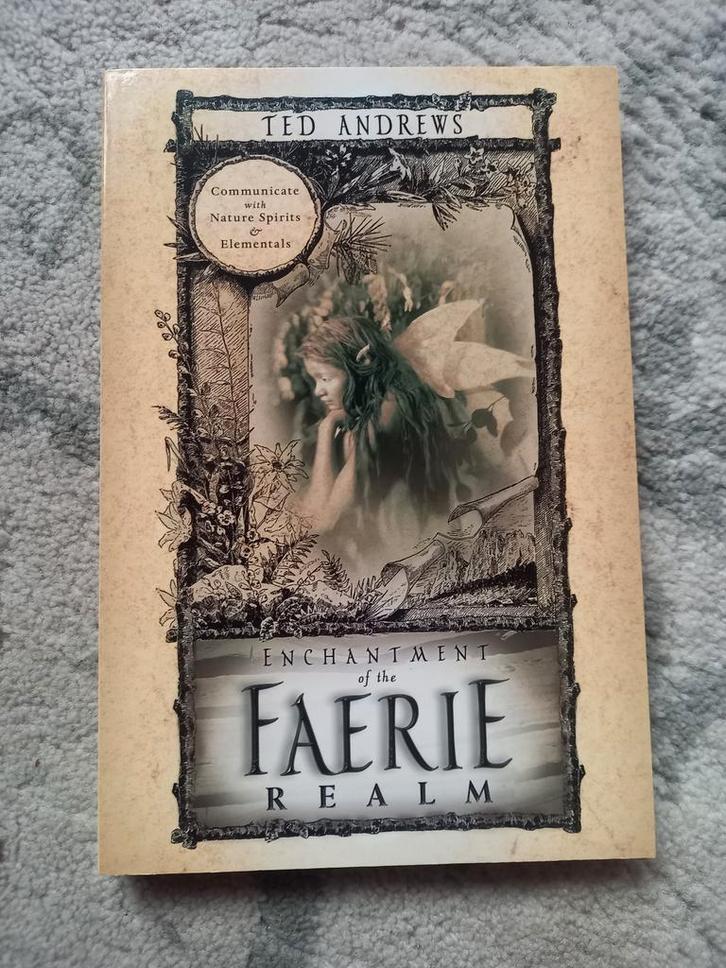 Enchantment faerie realm, Boeken, Fantasy, Zo goed als nieuw, Ophalen of Verzenden