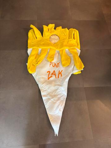 Carnavalskleding Te koop/Te huur beschikbaar voor biedingen