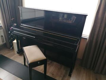 astor, Musique & Instruments, Enlèvement, Comme neuf