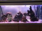 Aquarium met alle toebehoren, Ophalen, Gebruikt