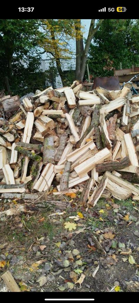 Brandhout populiere, Tuin en Terras, Brandhout, Blokken, Overige houtsoorten, 6 m³ of meer, Ophalen