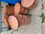 Nest schotel voor duiven