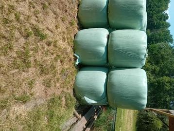 Ronde midi balen voordrooghooi beschikbaar voor biedingen