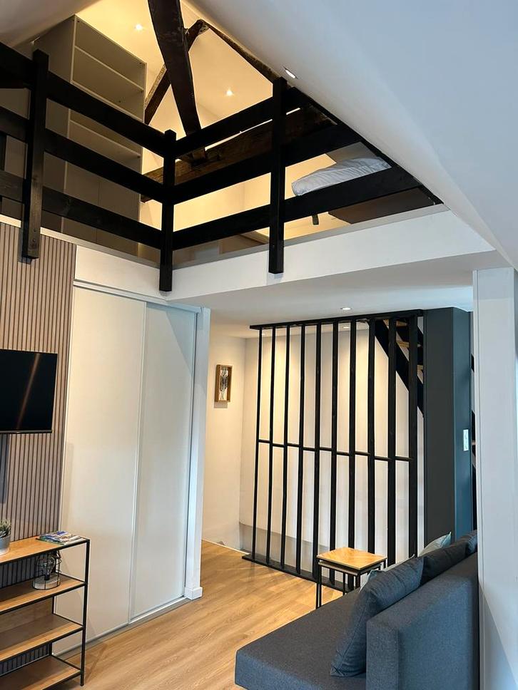 Superbe appartement Givet centre vieille ville, Vacances, Maisons de vacances | Belgique, Hainaut ou Namur, Appartement, Ville