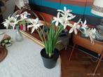 Lot de plantes fleurs artificielles deco decoration, Maison & Meubles, Accessoires pour la Maison | Plantes & Fleurs artificielles
