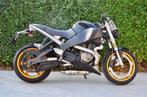 Buell XB 12s, Motoren, Motoren | Buell, 2 cilinders, Meer dan 35 kW, 1200 cc, Minimaal motorrijbewijs A2