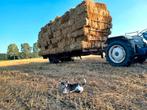 Kleine balen stro, Zakelijke goederen, Landbouw | Veevoer, Ophalen