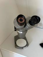 Vintage Olympus Tokyo Stereomicroscoop, 10X vergroting, Ophalen, Zo goed als nieuw, Stereomicroscoop