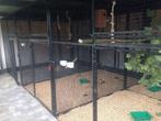 Voliere, Enlèvement, Utilisé, Volière