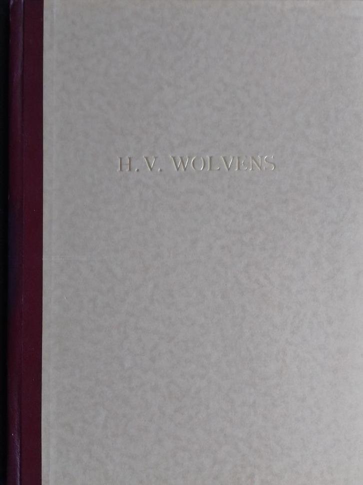 Henri Victor Wolvens  3  1896 - 1977   Monografie, Boeken, Kunst en Cultuur | Beeldend, Nieuw, Schilder- en Tekenkunst, Verzenden