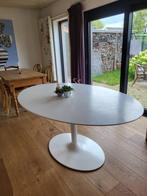 Tafel ovaal wit, Huis en Inrichting, Ophalen, Gebruikt, 100 tot 150 cm, Vijf personen of meer