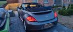VW Beetle cabriolet, Cuir, Bleu, Carnet d'entretien, Achat