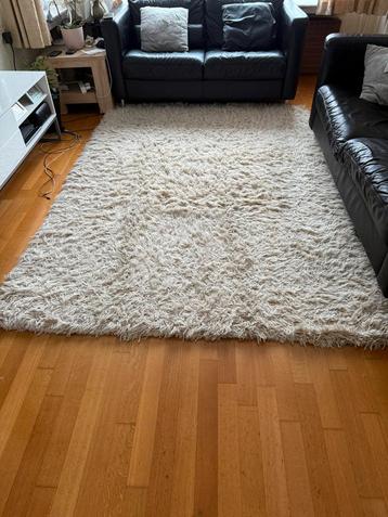 Tapijt/ vloerkleed 170x 240 cm beschikbaar voor biedingen