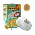 Incubateur Puisor 103TH avec clé réversible V2.0 + Oeufs, Envoi, Neuf, Couveuse
