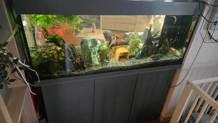 Juwel 240 met binnenfilter toebehoren, Dieren en Toebehoren, Vissen | Aquaria en Toebehoren, Gebruikt, Ophalen
