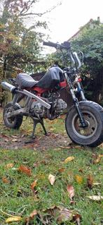 dax/monkey 50cc, Fietsen en Brommers, Brommers | Overige merken, Ophalen, Gebruikt, Skyteam, Klasse B (45 km/u)