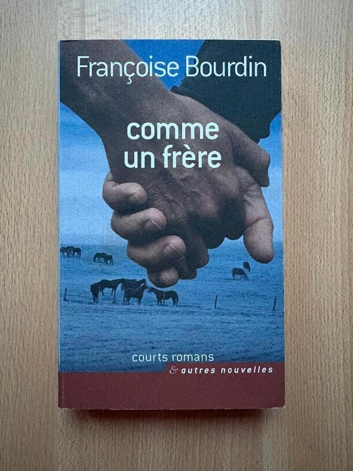 Comme un frère, Livres, Romans, Utilisé, Europe autre, Enlèvement