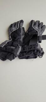 Skihandschoenen, Ophalen of Verzenden