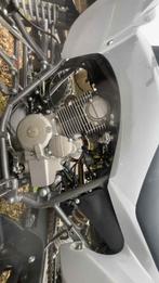 QUAD 250 PREDATOR, Motoren, 250 cc, 1 cilinder, 12 t/m 35 kW
