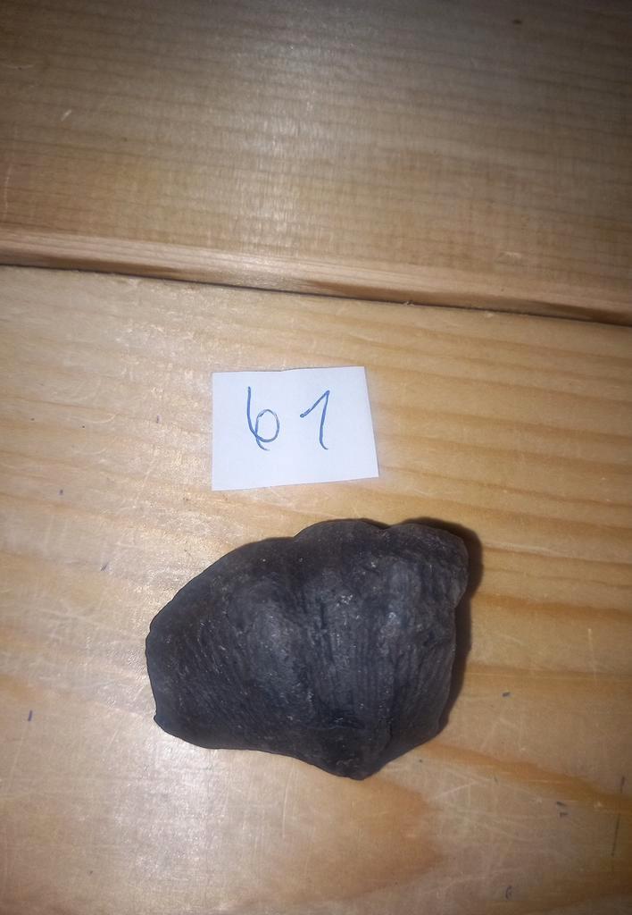 fossiles vivifiants (et NR6), Collections, Minéraux & Fossiles, Enlèvement ou Envoi