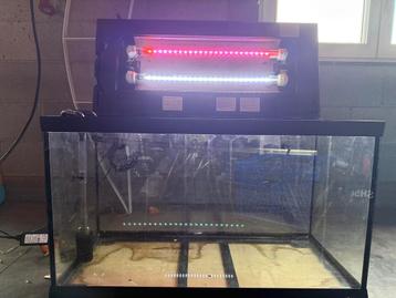 Aquarium beschikbaar voor biedingen