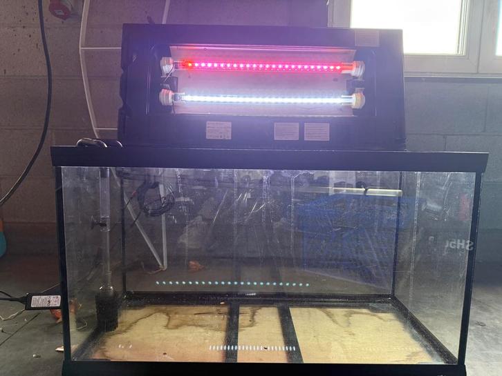 Aquarium, Dieren en Toebehoren, Vissen | Aquaria en Toebehoren, Zo goed als nieuw, Ophalen