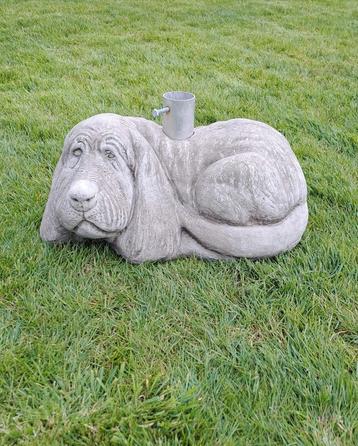 Mooie hond in beton "parasol voet " beschikbaar voor biedingen