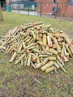 Brandhout van wilgenhout 2,5m3, Enlèvement, Bûches
