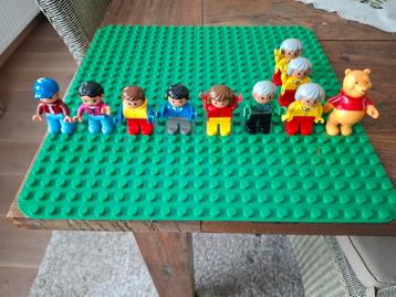 Duplo mannetjes  beschikbaar voor biedingen