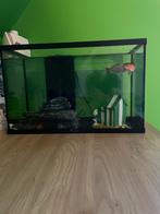 Aquarium klein, Dieren en Toebehoren, Ophalen, Gebruikt, Verlichting of Verwarming