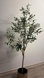 Kunstplant olijfboom, Enlèvement, Comme neuf
