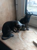 2 poezen in zamac ( kunst brons), Antiquités & Art, Enlèvement ou Envoi