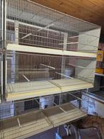 12 kooien voor vogels, Dieren en Toebehoren, Vogels | Hokken en Kooien, Ophalen of Verzenden