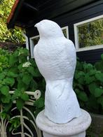 tuinbeeld van een witte adelaar , adelaar, Nieuw, Beton, Ophalen of Verzenden
