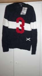 trui, Ophalen of Verzenden, Nieuw, Scapa