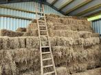 Hooi te koop - eerste snee, Zakelijke goederen, Landbouw | Veevoer, Ophalen