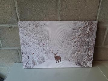 Schilderij met verlichting  beschikbaar voor biedingen
