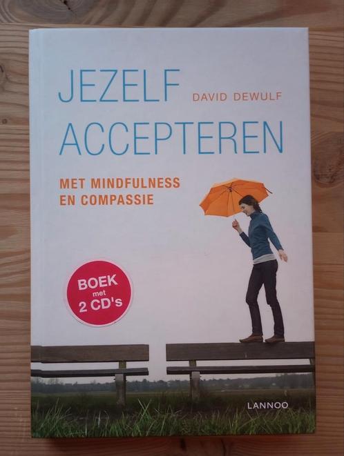 David Dewulf - Jezelf accepteren incl, Livres, Psychologie, Neuf, Enlèvement ou Envoi