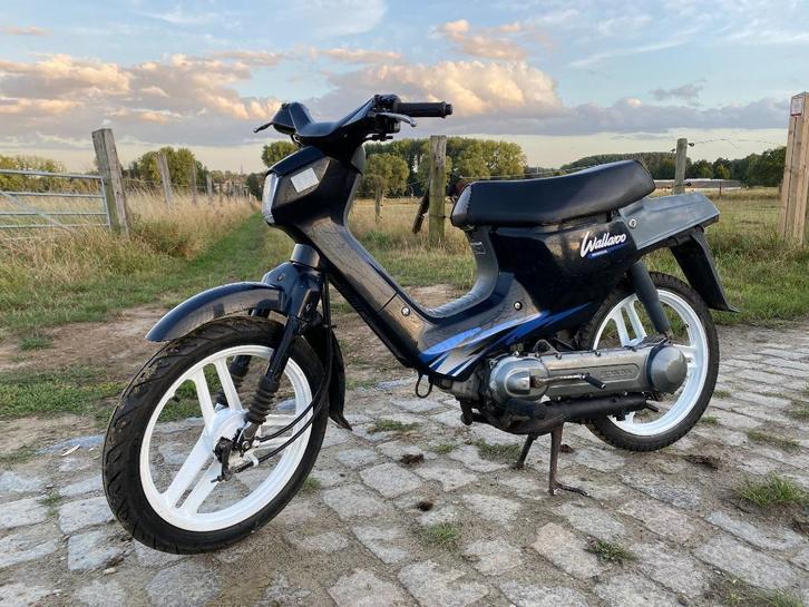 HONDA WALLAROO B CLASSE, Fietsen en Brommers, Brommers | Honda, Gebruikt, Overige modellen, Klasse B (45 km/u), Ophalen