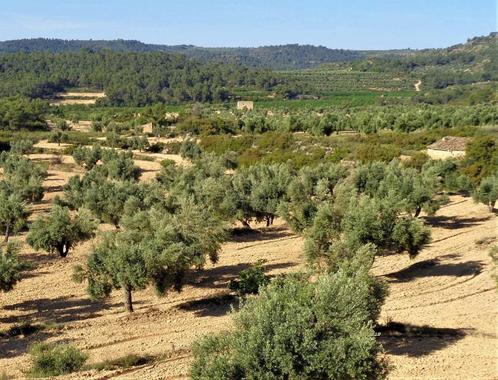 Finca in Maella (Aragon, Spanje) - 0721, Immo, Buitenland, Spanje, Overige soorten, Landelijk