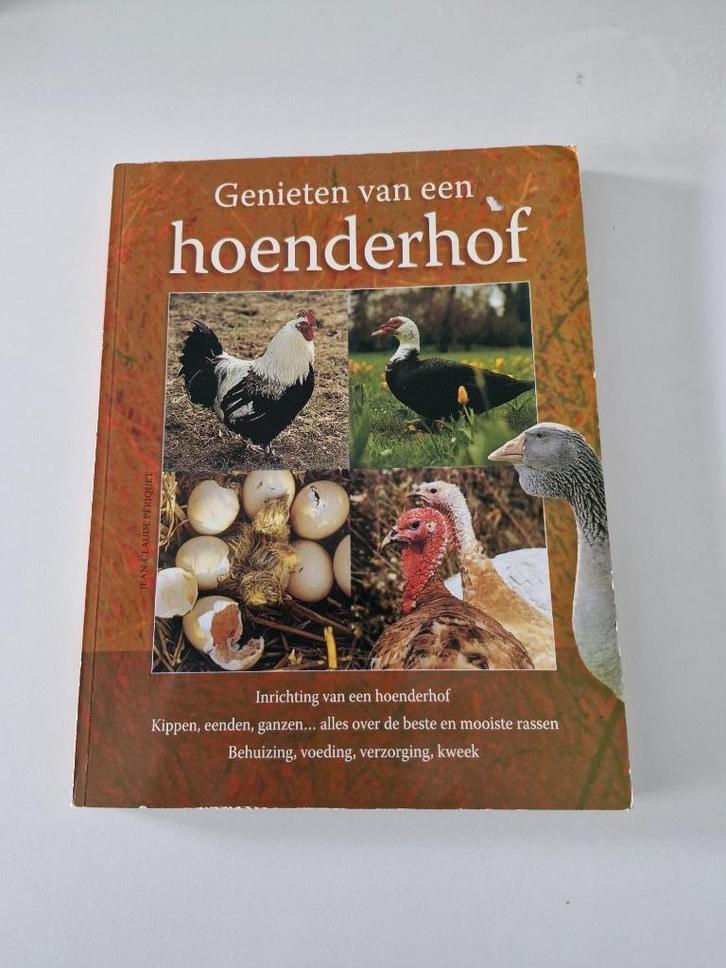 Genieten van een hoenderhof - Jean-Claude Périquet, Boeken, Dieren en Huisdieren, Gelezen, Pluimvee, Ophalen of Verzenden