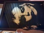 Spiegel portret  BLONDIE  1978 UIT LONDEN, Antiek en Kunst, Ophalen