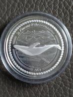 Humpback Whale 1 Oz..999 zilver 2021, Zilver, Ophalen, Losse munt
