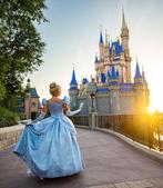 Disneyland Parijs, Tickets en Kaartjes